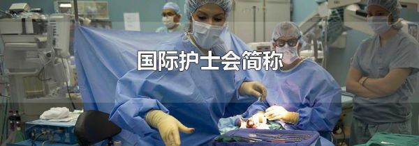 国际护士会简称