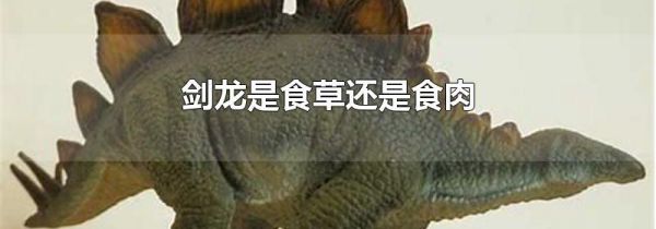 剑龙是食草还是食肉