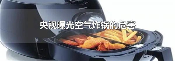 央视曝光空气炸锅的危害