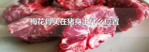 梅花骨头在猪身上什么位置