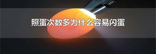 照蛋次数多为什么容易闪蛋