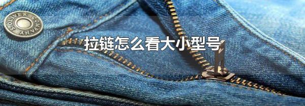 拉链怎么看大小型号