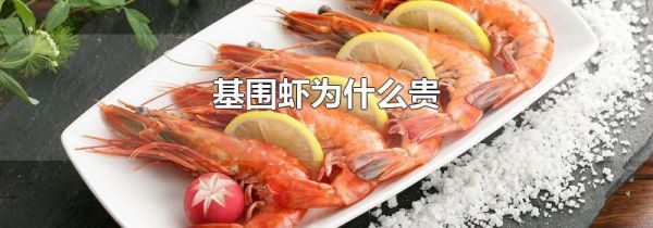 基围虾为什么贵