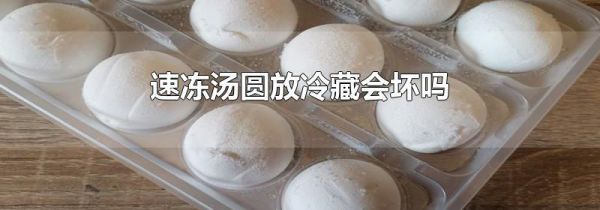 速冻汤圆放冷藏会坏吗