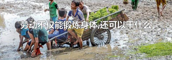 劳动不仅能锻炼身体,还可以干什么