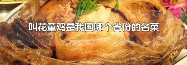 叫花童鸡是我国哪个省份的名菜