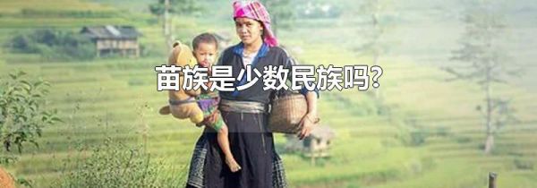 苗族是少数民族吗?