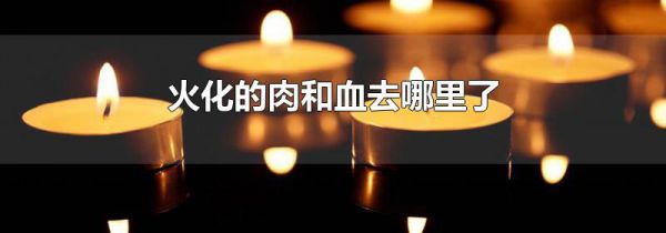 火化的肉和血去哪里了
