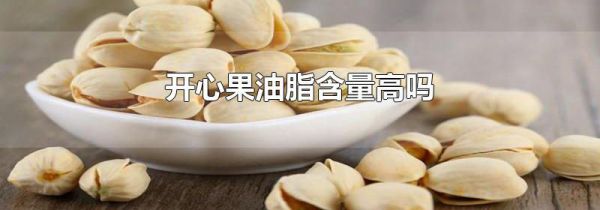 开心果油脂含量高吗
