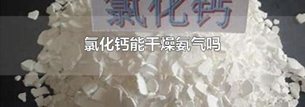 氯化钙能干燥氨气吗