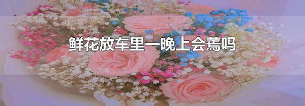 鲜花放车里一晚上会蔫吗