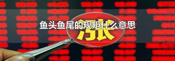 鱼头鱼尾的规矩什么意思