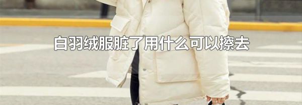 白羽绒服脏了用什么可以擦去