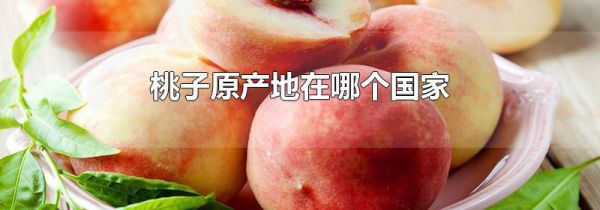 桃子原产地在哪个国家