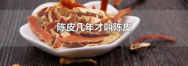 陈皮几年才叫陈皮