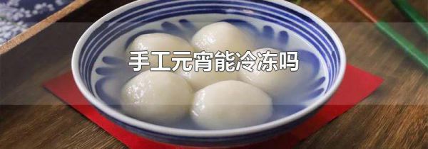 手工元宵能冷冻吗