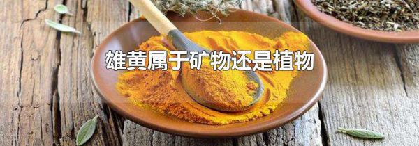 雄黄属于矿物还是植物