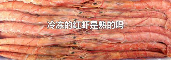 冷冻的红虾是熟的吗