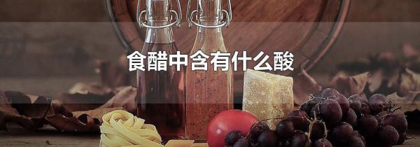食醋中含有什么酸