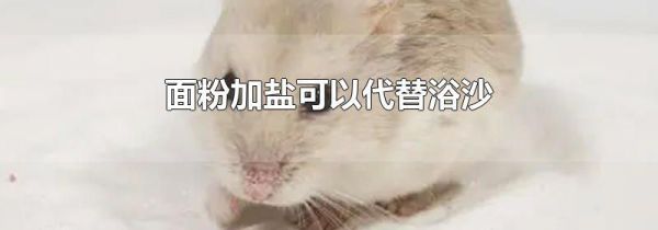 面粉加盐可以代替浴沙