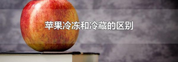 苹果冷冻和冷藏的区别