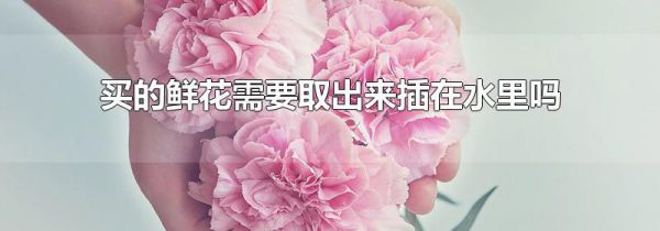 买的鲜花需要取出来插在水里吗