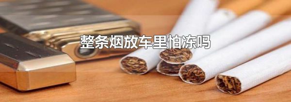 整条烟放车里怕冻吗