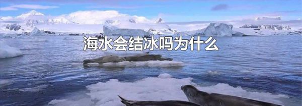 海水会结冰吗为什么