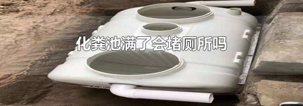化粪池满了会堵厕所吗