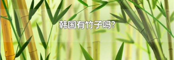 韩国有竹子吗?