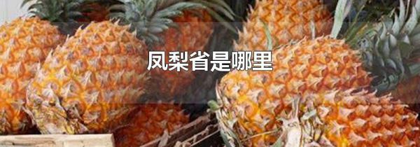 凤梨省是哪里