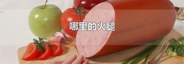 哪里的火腿