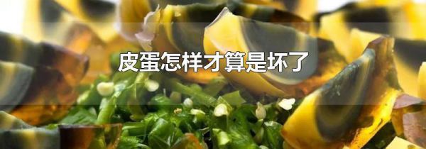 皮蛋怎样才算是坏了