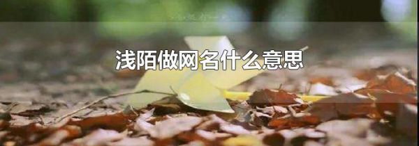 浅陌做网名什么意思