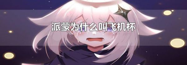 派蒙为什么叫飞机杯