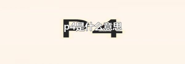 p4是什么意思
