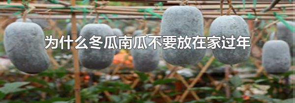 为什么冬瓜南瓜不要放在家过年