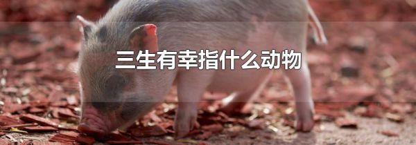 三生有幸指什么动物