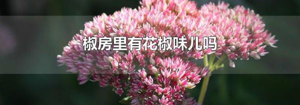 椒房里有花椒味儿吗