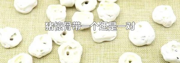 猪惊骨带一个还是一对
