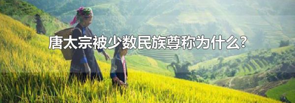 唐太宗被少数民族尊称为什么?