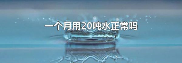 一个月用20吨水正常吗