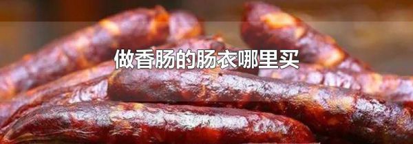 做香肠的肠衣哪里买
