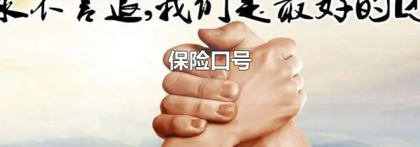 保险口号