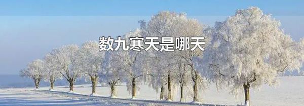 数九寒天是哪天