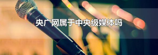 央广网属于中央级媒体吗