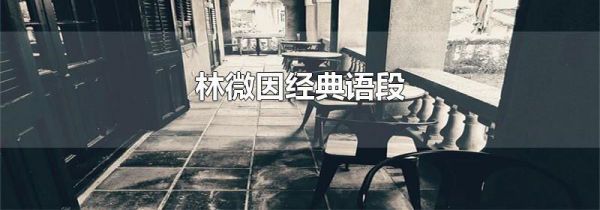 林微因经典语段