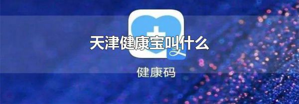 天津健康宝叫什么