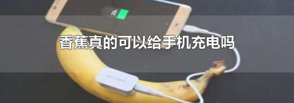 香蕉真的可以给手机充电吗