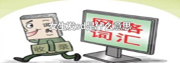女生发sd是什么意思